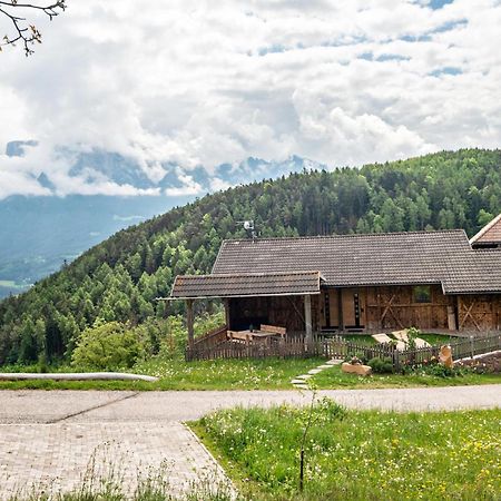 Aschnerhof Holzherz Collalbo Esterno foto